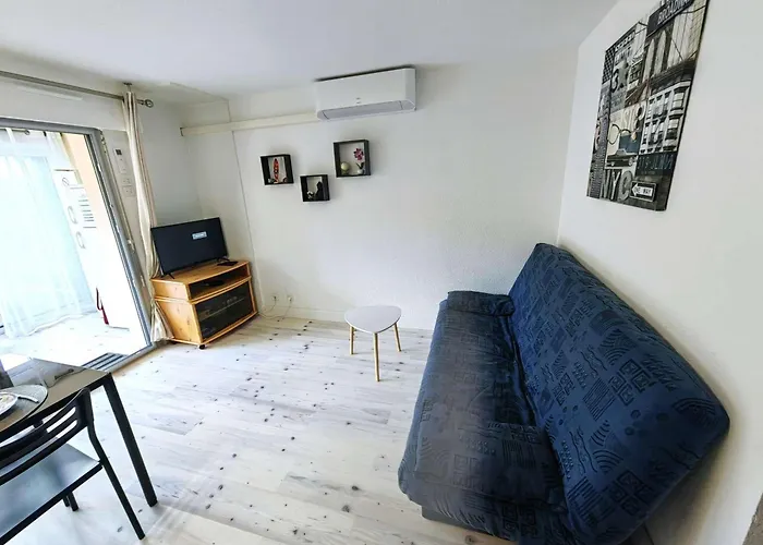 Lägenhet Spacieux T2 Climatise Avec Parking, Terrasse Et Wi-fi - Fr-1-607-205 Agde